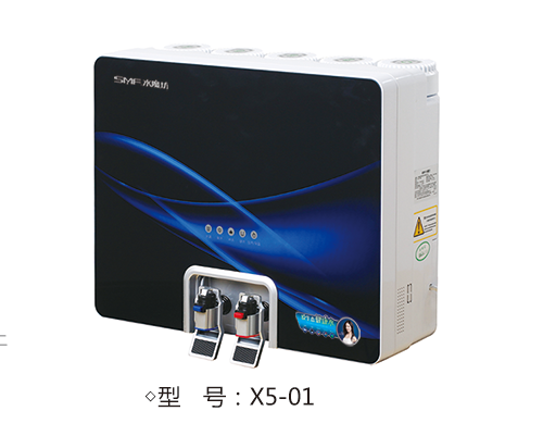 X5-01